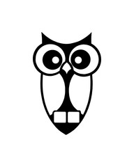 Owl Illustration