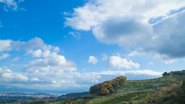 山からの風景タイムラプス