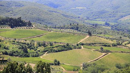 Idyllic and scenic countryside landscape - vineyards, fields, forest and hills - Tuscany, Italy; tourism, travel, vacation; background.
