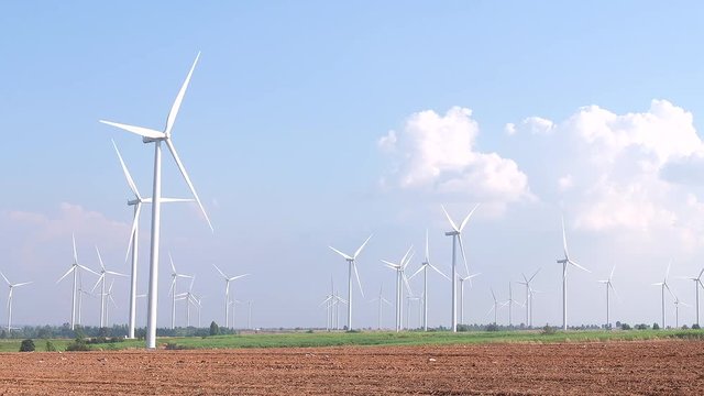 Video of wind turbine farm for electricity generation. It is the alternative energy. The capacity depends on the velocity of wind.