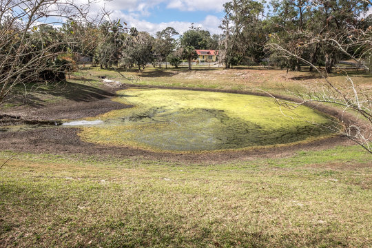 Retention Pond With Algae In Florida