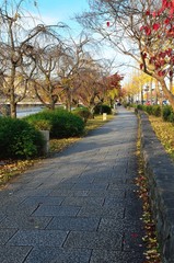京都　鴨川沿いの道