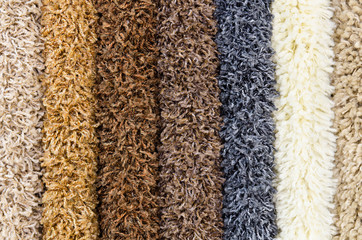 carpet demo samples