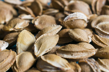 Apricot bones lie on the table