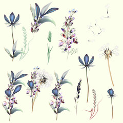 Collection of vector filed flowers
