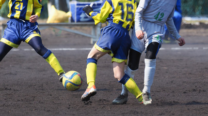 Naklejka premium サッカー フットボール