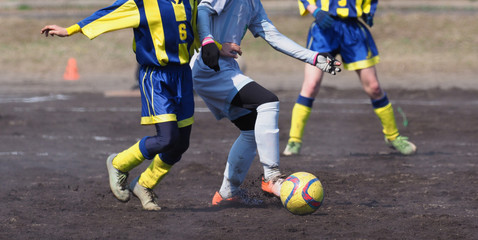 サッカー　フットボール