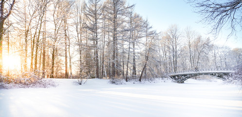 A frosty Sunny day in nature.
