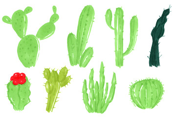 Set of hand drawn different cactuses in sketch vintage style. Cartoon marker illustration.