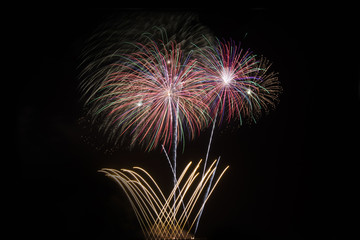 Colorful Fireworks  on black background.