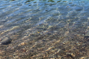 crystal clear water in mountain lake