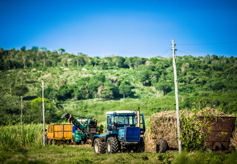 Obraz premium HDR - Zuckerrohrernte auf dem Feld mit Traktor und Zuckerrohr Mähdrescher in Santa Clara Kuba - Serie Kuba Reportage