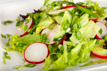 Salad with radish, cucumbers and onion