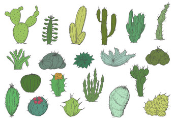 Set of hand drawn different cactuses in sketch vintage style. Vector illustration.