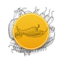 Frame with chili peppers in retro hand drawn, sketches, engraved style. Design elements for banner, cover, label, package, promote. Isolated on white background. Modern vector illustration.