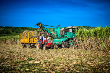 HDR - Zuckerrohrernte auf dem Feld mit Traktor und Zuckerrohr M&auml;hdrescher in Santa Clara Kuba - Serie Kuba Reportage