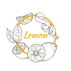 Frame with lemon or lime in retro vintage hand drawn, sketches, engraved style. Design elements for banner, cover, label, package, promote. Isolated on white background. Modern vector illustration.