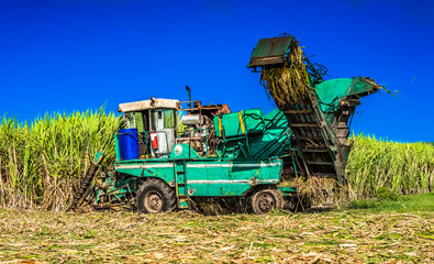 HDR - Zuckerrohrernte auf dem Feld mit Traktor und Zuckerrohr Mähdrescher in Santa Clara Kuba - Serie Kuba Reportage