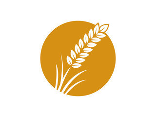 wheat seed food cereal brew vector logo design 