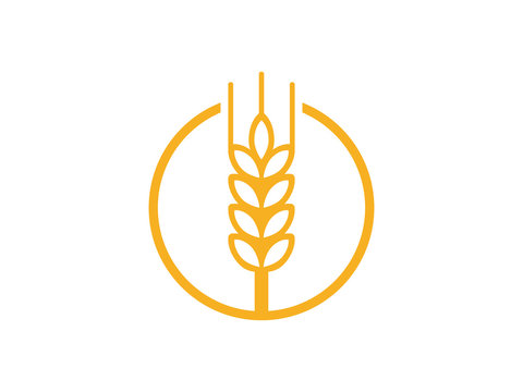 wheat seed food cereal brew vector logo design 