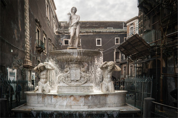 Fototapeta na wymiar Catania, Amenano Fountain in the Dome square