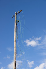 Obraz premium Strommast