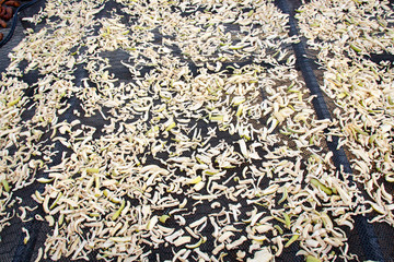 Dried daikon of korea food