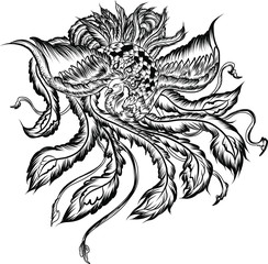 hand drawn colorful Phoenix tattoo,Fire bird isolate on white background,Japanese and Chinese Peacock,Art of Phoenix Physiology