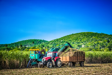 HDR - Zuckerrohrernte auf dem Feld mit Traktor und Zuckerrohr Mähdrescher in Santa Clara Kuba -...
