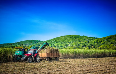 HDR - Zuckerrohrernte auf dem Feld mit Traktor und Zuckerrohr Mähdrescher in Santa Clara Kuba - Serie Kuba Reportage - 185646775