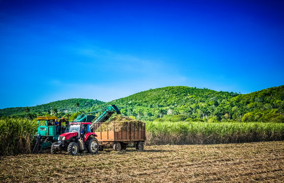 HDR - Zuckerrohrernte auf dem Feld mit Traktor und Zuckerrohr M&auml;hdrescher in Santa Clara Kuba - Serie Kuba Reportage