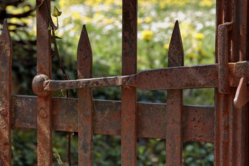 Fototapeta premium portail en fer rouillé