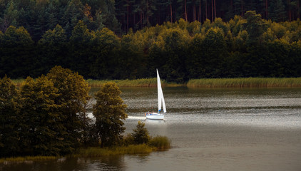 Zagłówka W Zatoce Na Jeziorze Wdzydze - Kaszuby -Polska   © Wojciech Lisiński