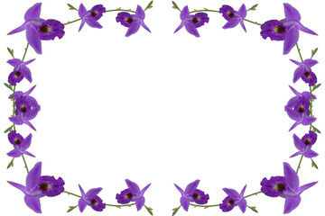 Fototapeta na wymiar Orchids border with clipping path on white background