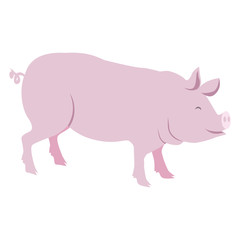 Pink Pig Vector Illustration Isolated on White