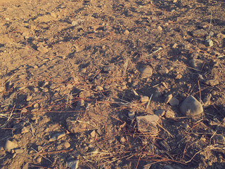 A bleak and desolate field.