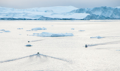 Obraz premium Ilulissat Isfjjord Greenland