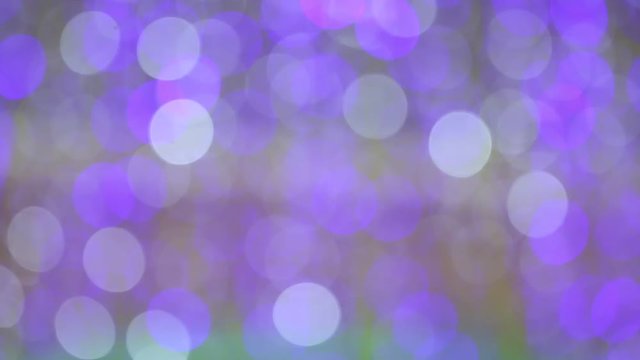Blurred purple glitter vintage Blinking christmas lights LED bulbs motion, Close up of big bokeh lights loopable background, Defocused or Abstract Neon lights.