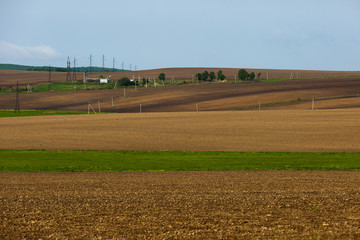 Agricultural fields in summer. The sown fields are wheat. Combine and tractor harvest.