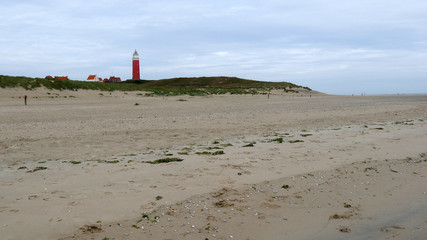 Spiaggia di Texel in Olanda del Nord