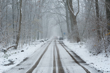 Fototapeta premium Cars on a snowy forest road, Rotterdam, Netherlands