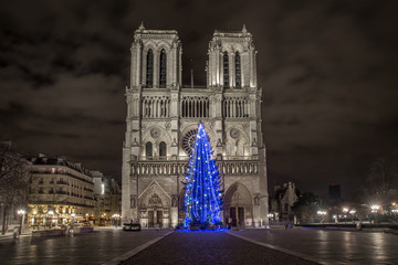 Fototapeta na wymiar Christmas tree, Notre Dame de Paris