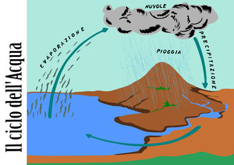 Il ciclo dell'acqua