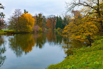 Golden autumn in old park