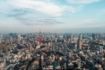 Fototapeta na wymiar Tokyo tower with Tokyo city view.