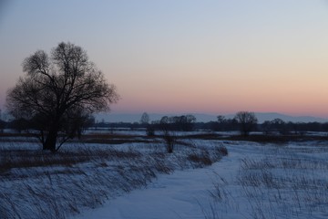 Fototapeta na wymiar Left bank of the Amur river