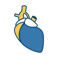 Human heart symbol icon vector illustration  graphic  design