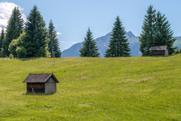 huts on a meadow in front of a mountain