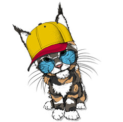 Portrait of a cat in a hat. Can be used for printing on T-shirts, flyers, etc. Vector illustration