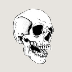 Portrait of a skull. Can be used for printing on T-shirts, flyers, etc. Vector illustration